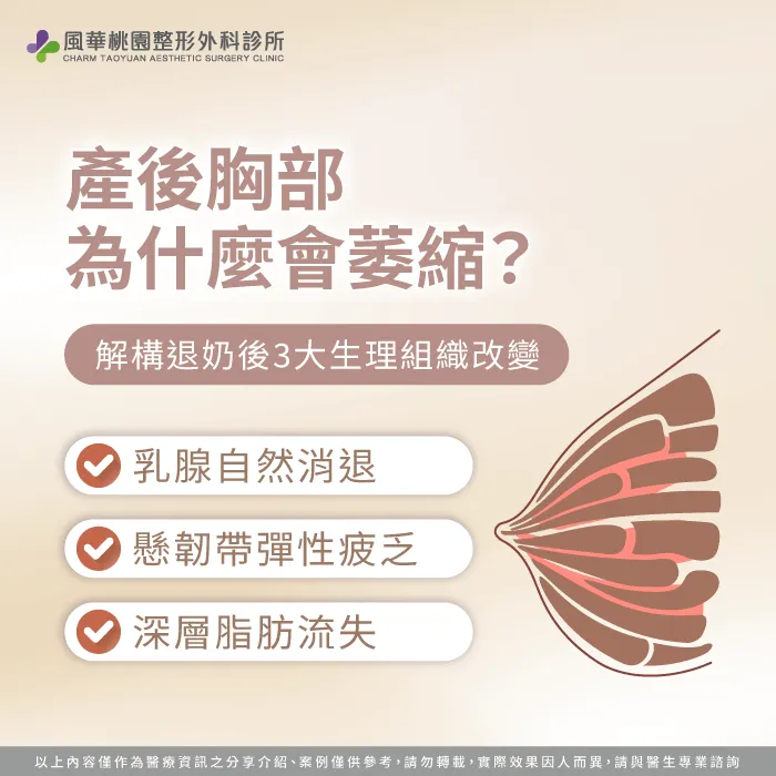 深入剖析荷爾蒙改變與懸韌帶結構鬆弛,清楚釐清產後胸部萎縮的根本關鍵。 產後胸部萎縮成因深入剖析-產後胸部萎縮